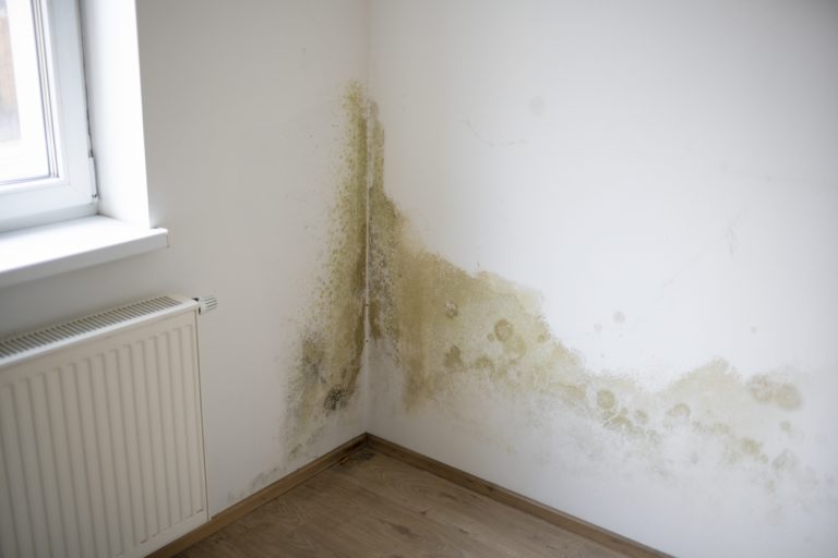 comment nettoyer traces d'humidité sur un mur