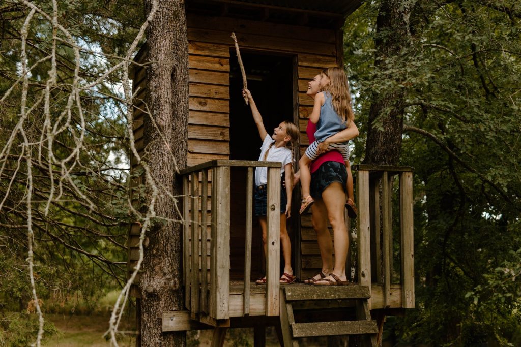 construction de cabane en bois
