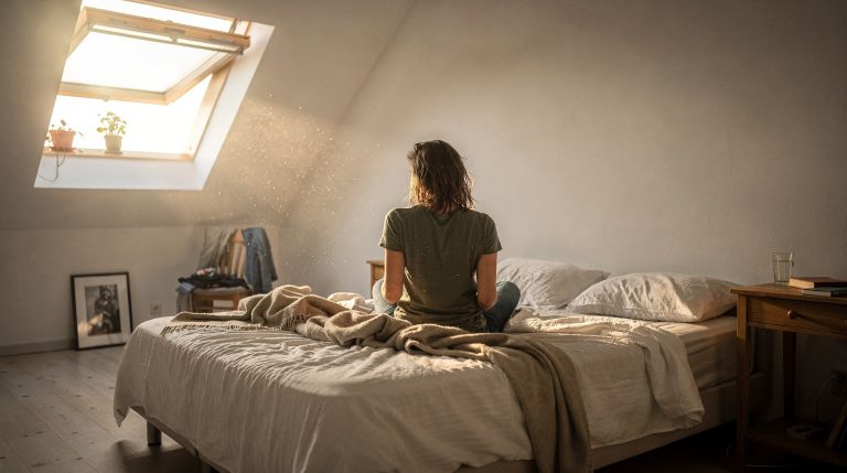Couvreur posant une fenêtre de toit VELUX sur un toit en tuiles